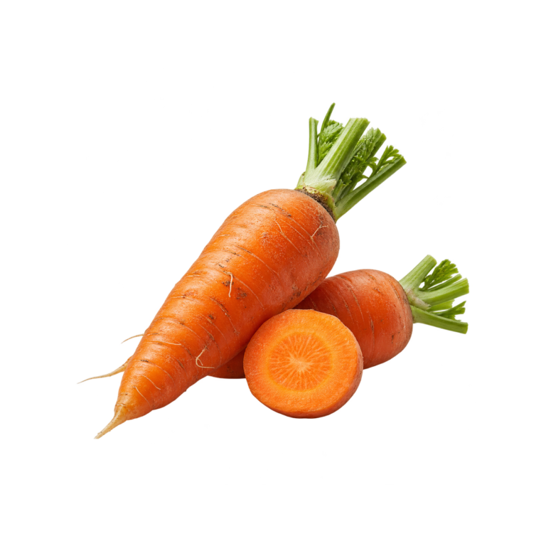 Carrot
