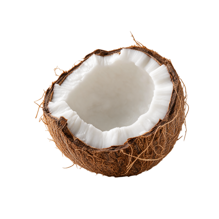 Coconut